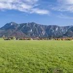 Apartment Marinas Alpenblick